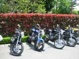 Watanikidoh_365